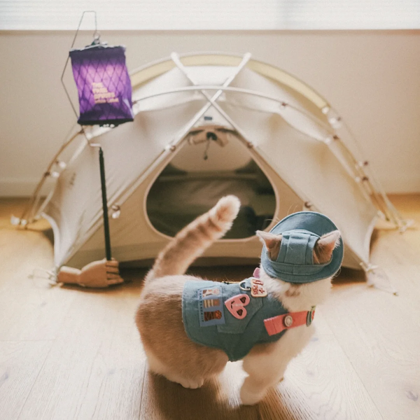 Pet tents