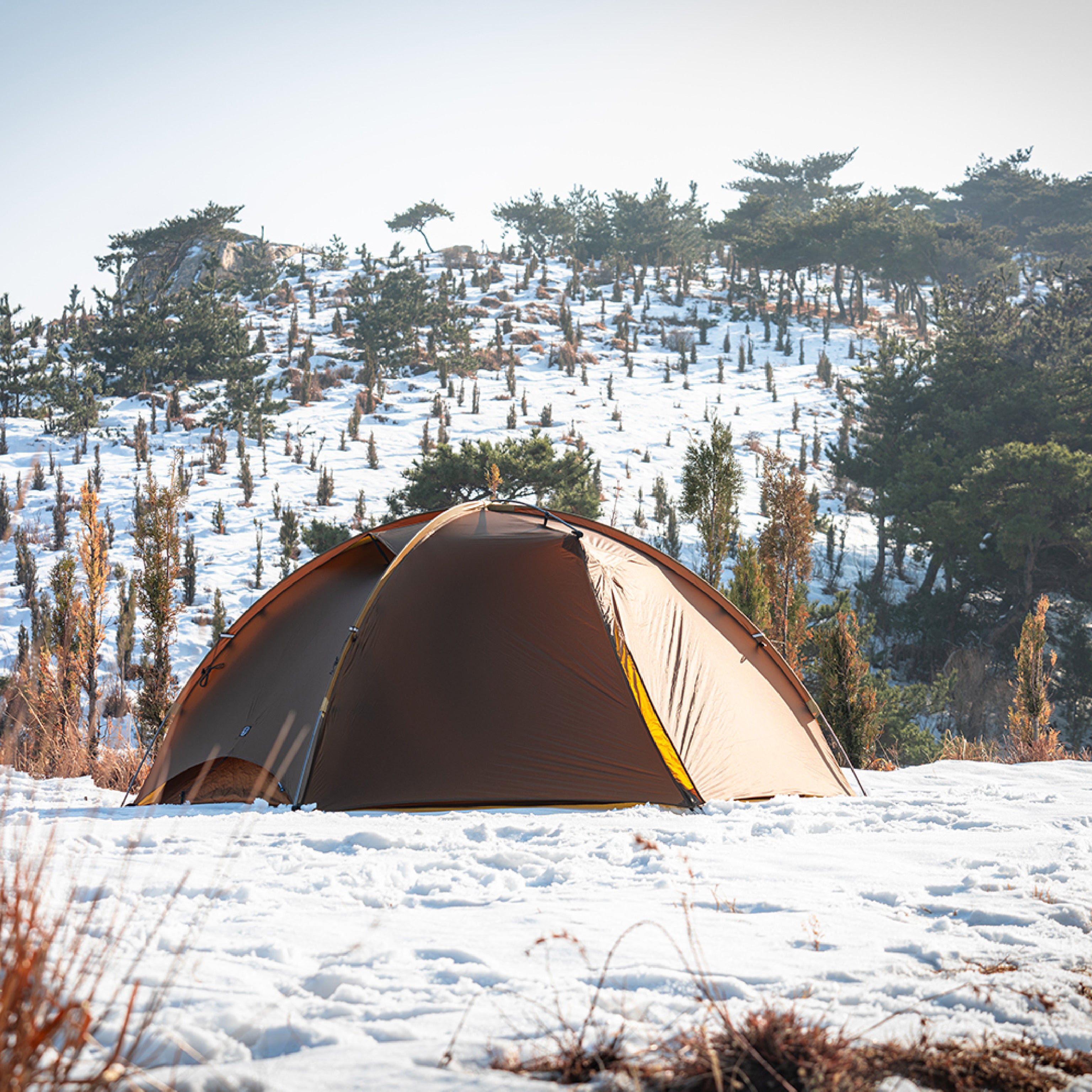 Stars 2 Pro – THE FREE SPIRITS