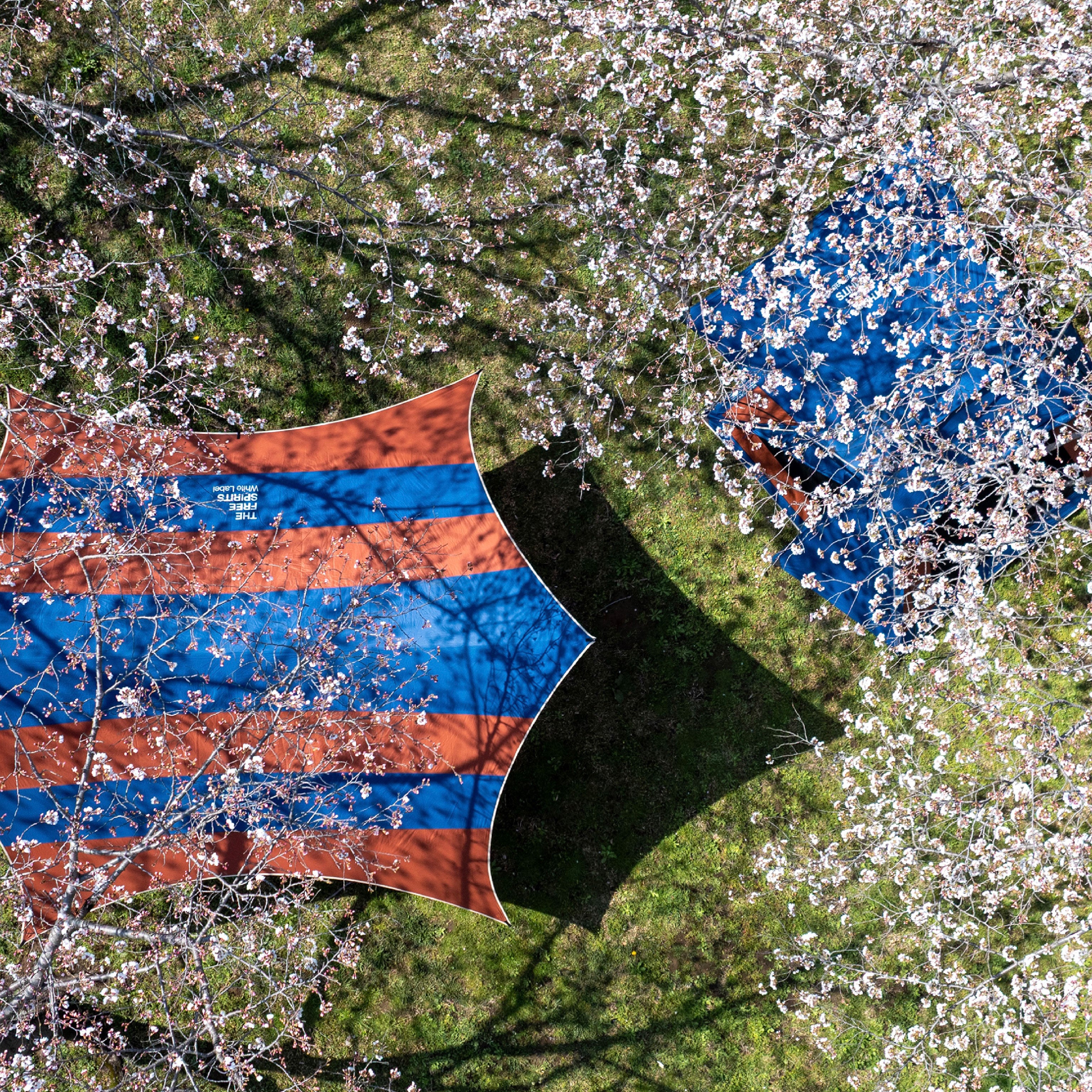 Yan Tarp – THE FREE SPIRITS