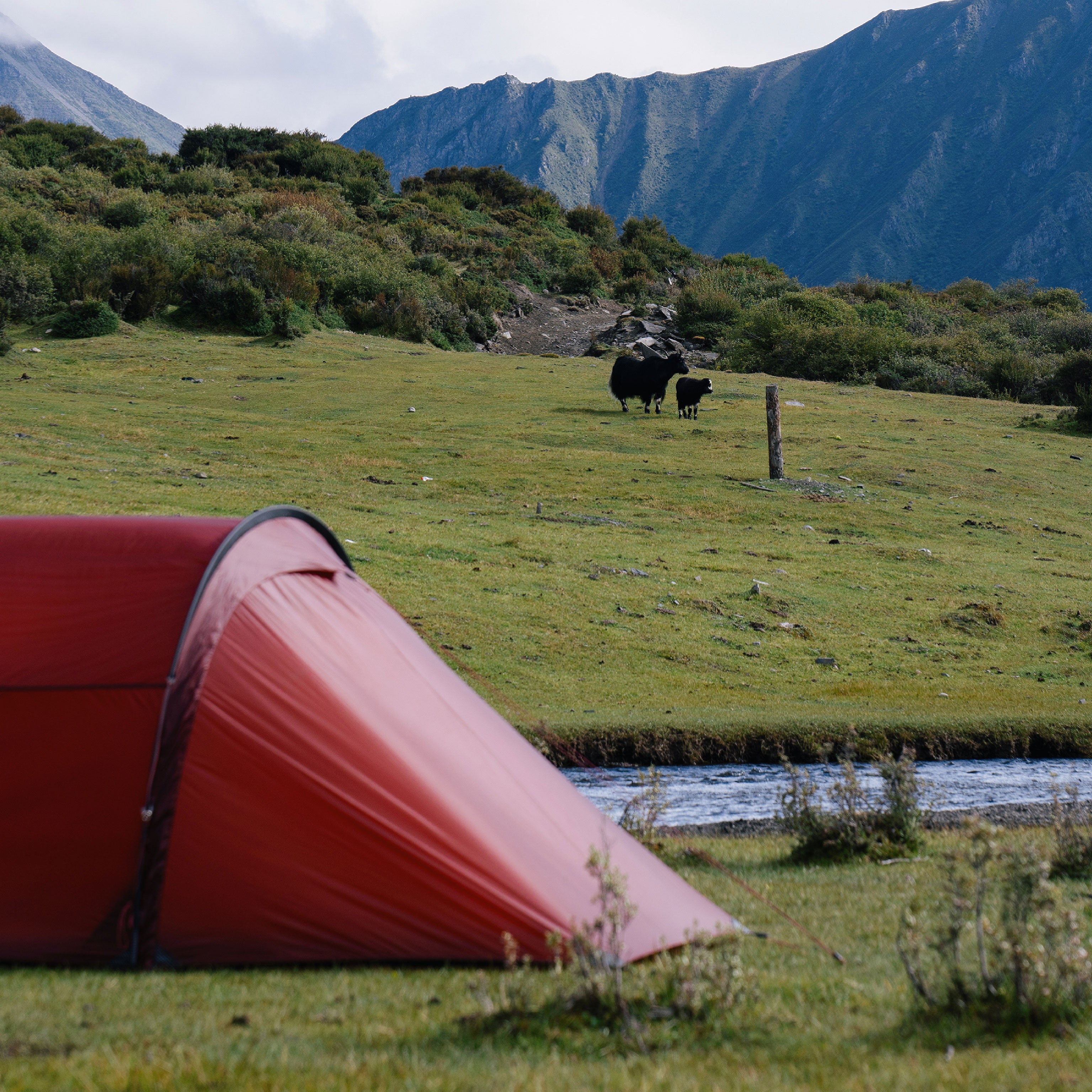 Yoto Pro – THE FREE SPIRITS