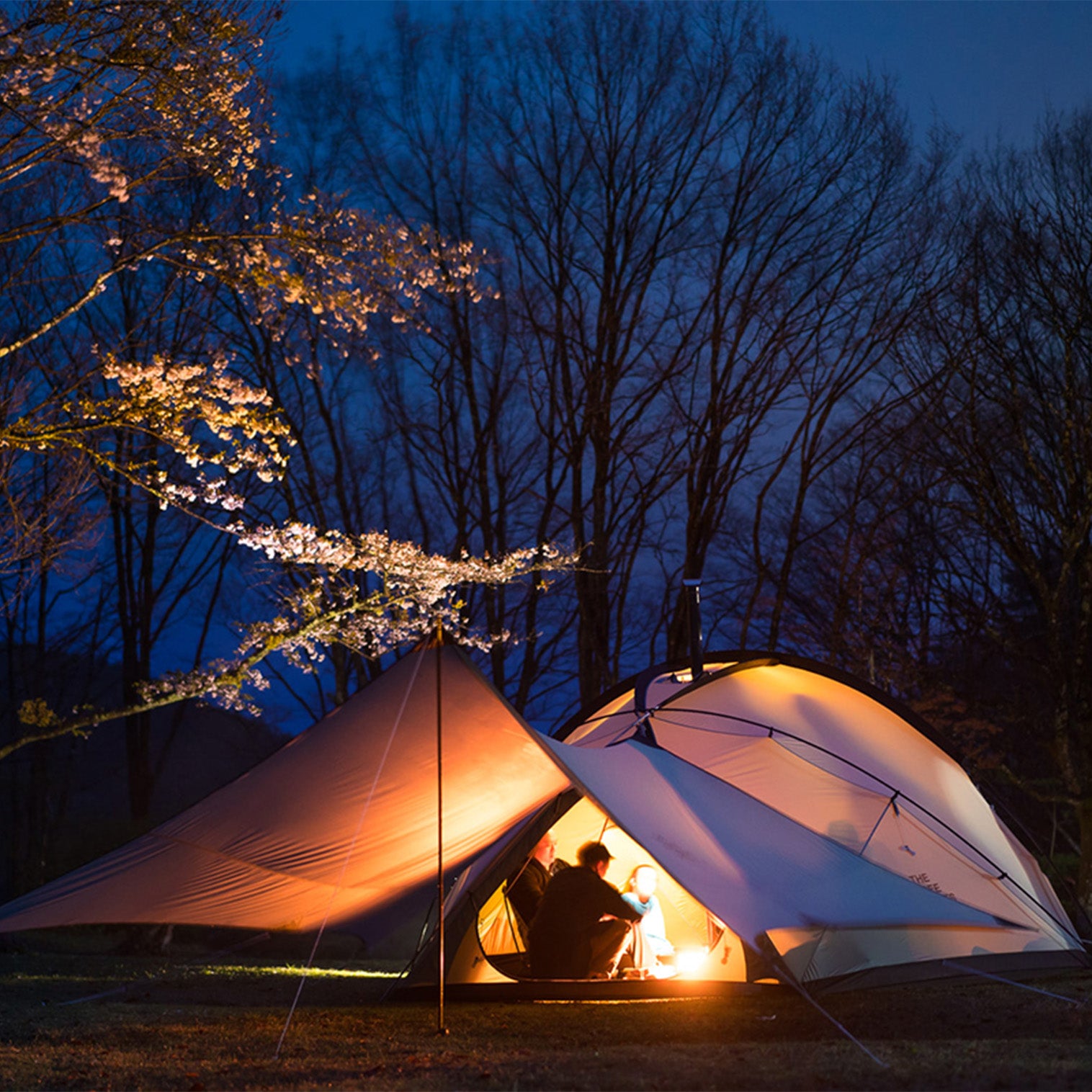 希少インナー付未使用　THE FREE SPIRITS SKYDOME 　TFS Sky Dome – THE FREE SPIRITS