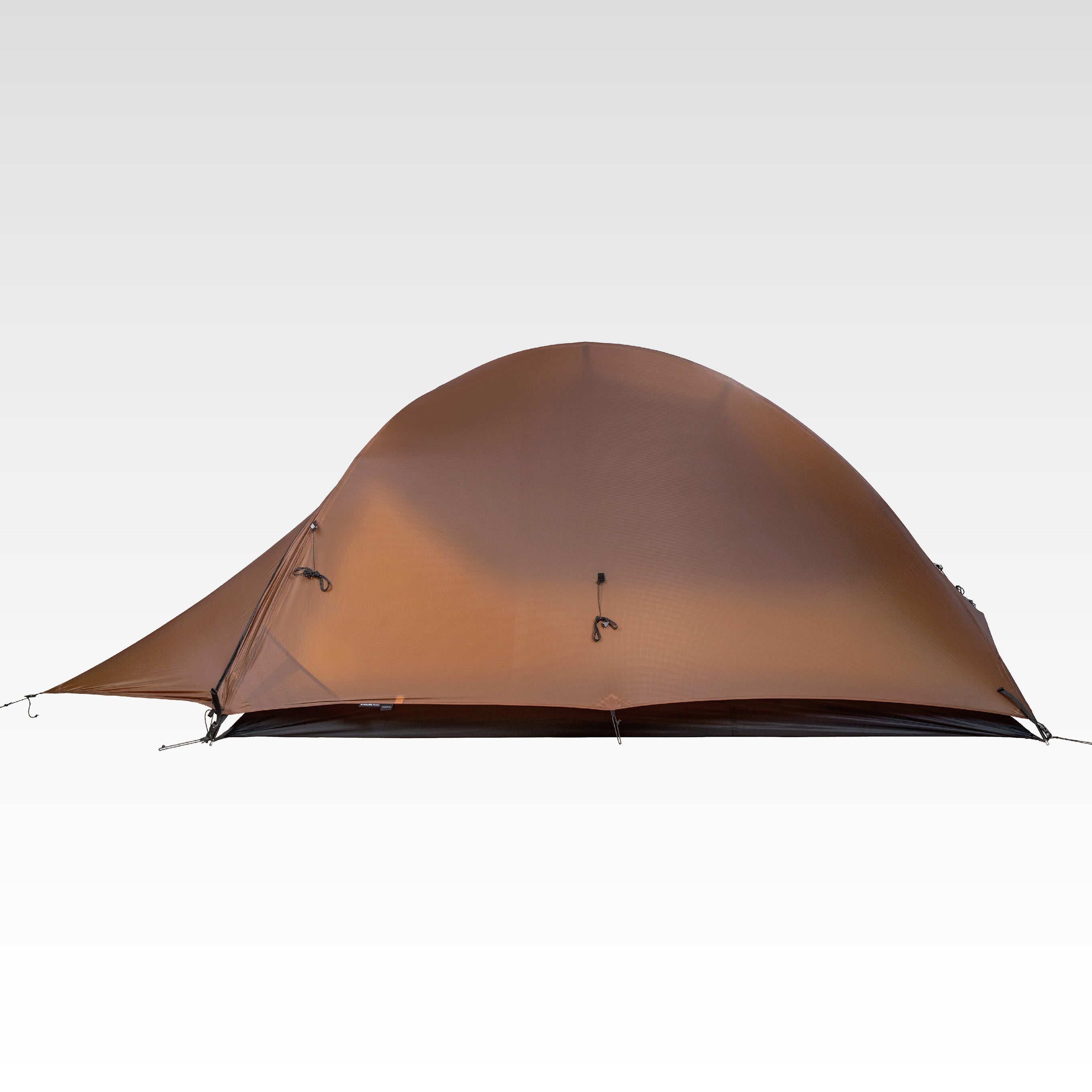 Pangolin 2.0 – THE FREE SPIRITS